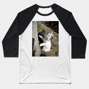 Susie the cat is curious Baseball T-Shirt